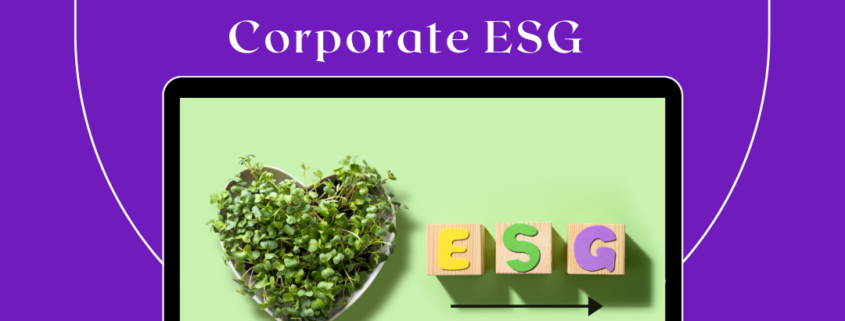 5 Reasons Why Every CEO Needs to Know Corporate ESG 